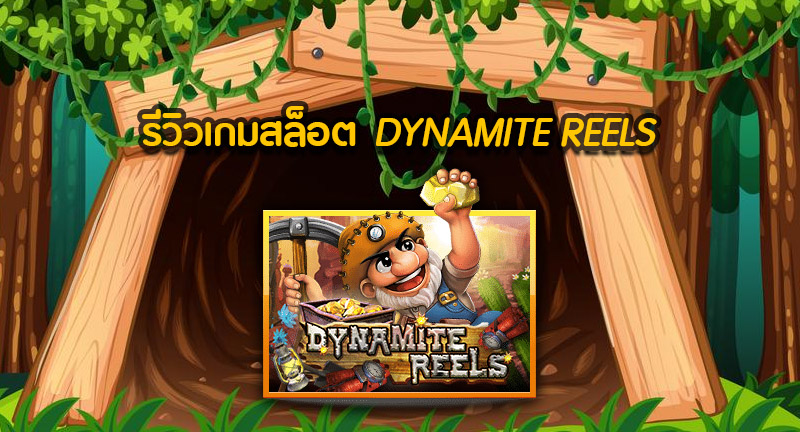 dynamite reels รีวิว