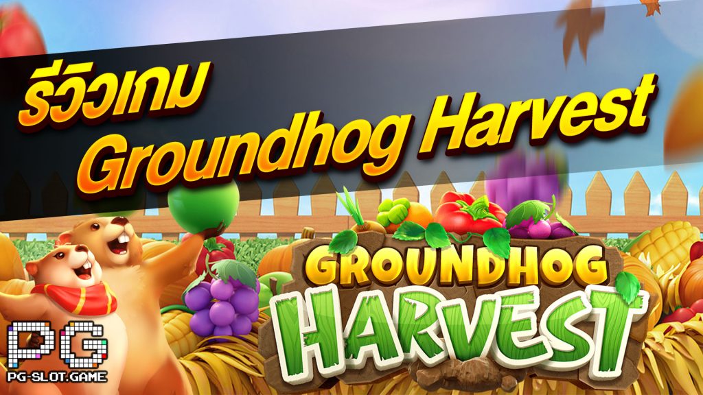 Groundhog Harvest รีวิว