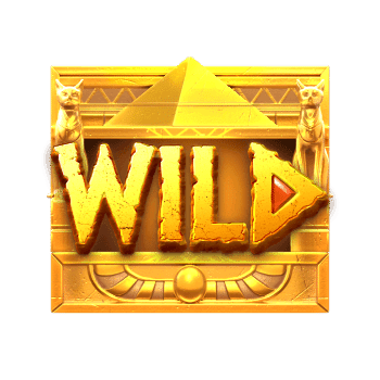 สัญลักษณ์พิเศษ wild