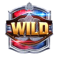 สัญลักษณ์ Wild