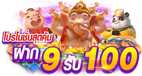 9 รับ 100 วอเลท รีวิว