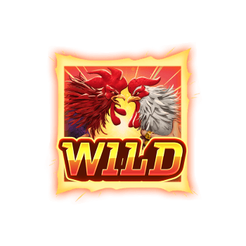 สัญลักษณ์ Wild