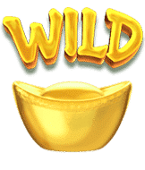 สัญลักษณ์ Wild