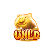 สัญลักษณ์ Wild