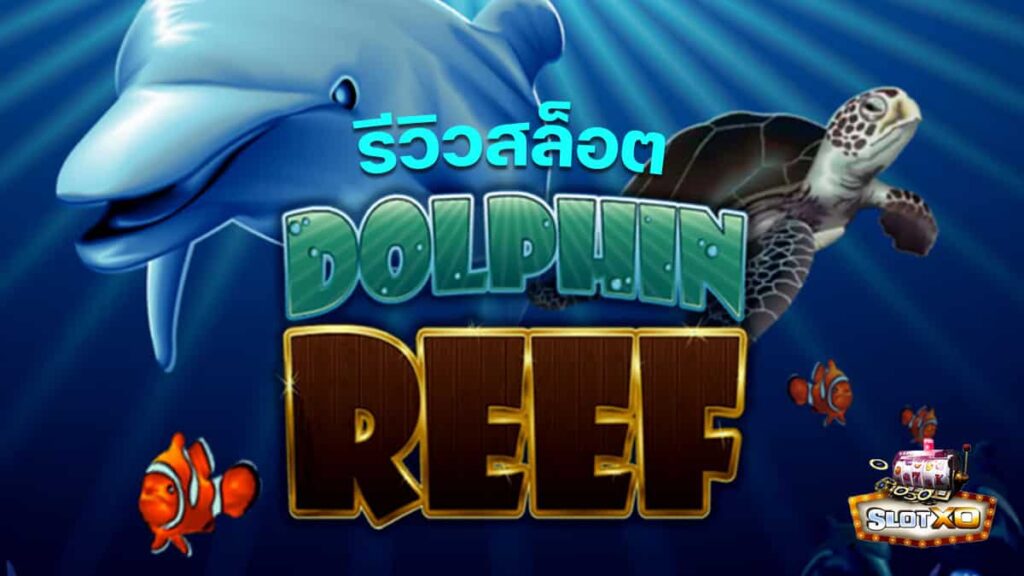 Dolphin Reef