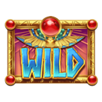 สัญลักษณ์ Wild