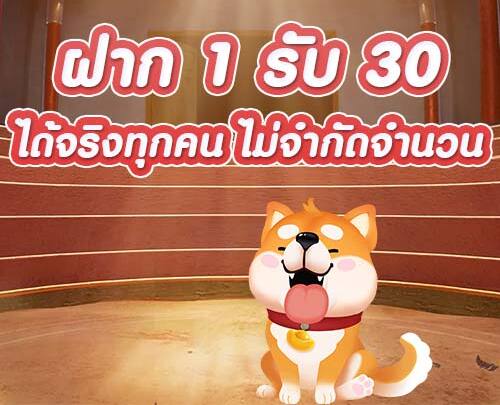 ฝาก 1 บาท รับ30 ล่าสุด 2565