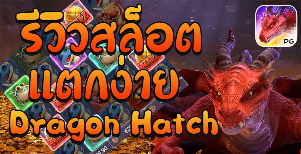 dragon hatch รีวิว