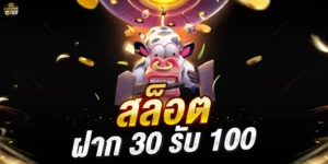 30รับ100ทํา200