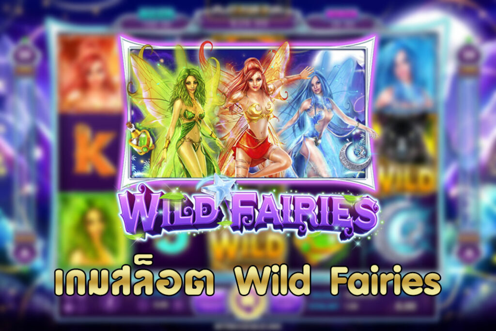 wild fairies รีวิว
